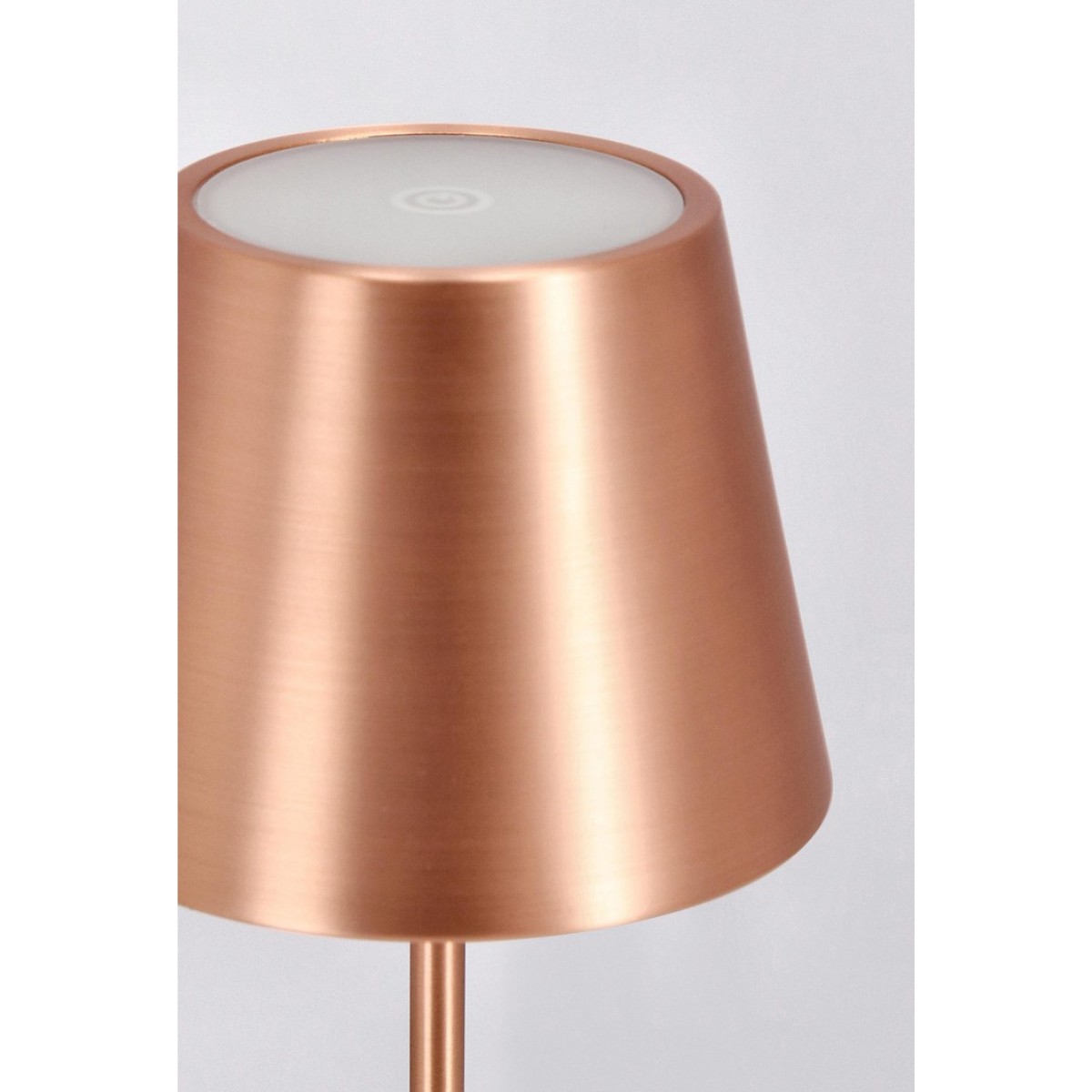 BT ANETTE Bronze modern Indoor table lamp